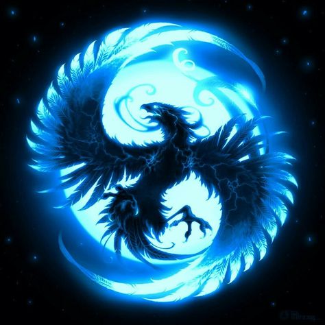 Blue Phoenix | Mythical Creatures, Fantasy, Art Phoenix Bird Tattoo, Phoenix Bird Tattoos, Phoenix Wallpaper, Phoenix Artwork, Phoenix Images, Black Bird Tattoo, Flame Art, Phoenix Art, Phoenix Bird