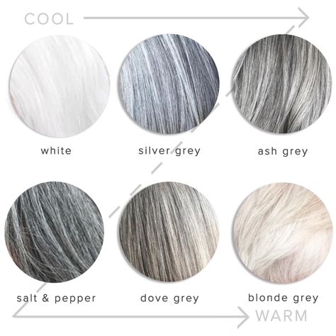 Grey Hair Colour Chart, Pelo Color Ceniza, Shades Of Gray Hair, Ash Grey Hair, Grey Hair Color Silver, Grey Hair Transformation, Grey Hair Dye, Grey Hair Inspiration, Colour Analysis