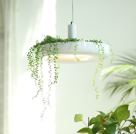 Nordic Plant Pendant Lights DIY Sky garden Led Lamp Flower Pot Hanging Lamp Dining Room Restaurant Lighting Fixtures Home Decor|Pendant Lights| - AliExpress Orange Farm, European Lighting, Luminaire Original, Iron Plant, White Cedar, Pendant Fixture, White Pendant Light, Decorative Lighting, Plant Lighting