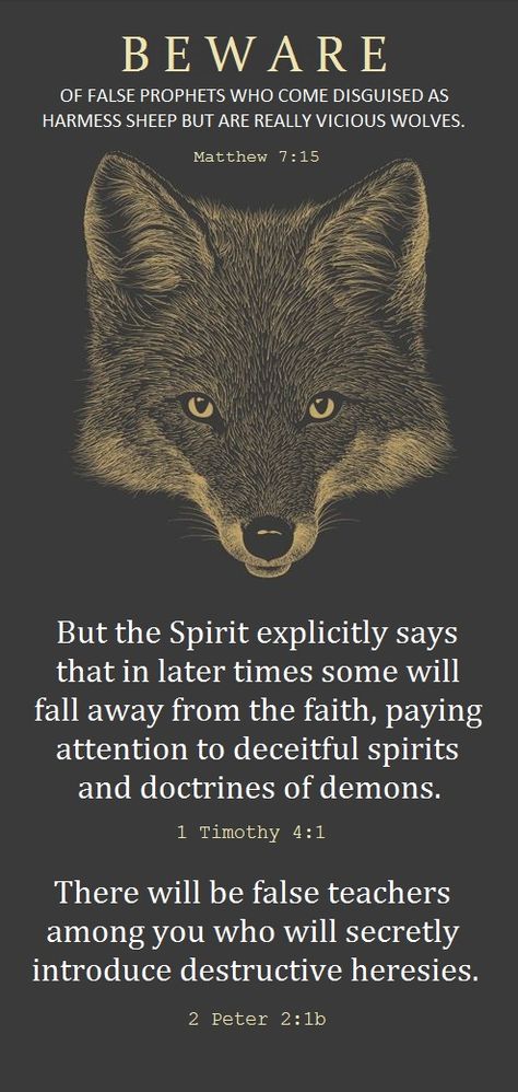 Be careful who you let lead you. Anyone can spout on about how they love Jesus, they can try to dress the part, but you can learn discernment over time with God's help. SO MANY false prophets today. They are everywhere...and they do not know our Lord so they cannot lead you. God's Help, 5 Solas, Bible King James Version, The Holy Bible, False Prophets, 2 Peter, Love Jesus, Bible Prophecy, Biblical Quotes