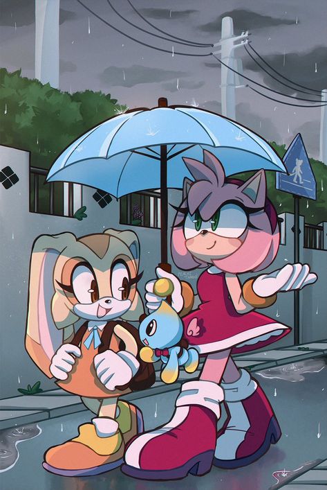 Cream Sonic, Amy The Hedgehog, Sonic And Amy, Sonic Fan Characters, Blue Hedgehog, Sonic Franchise, Sonic Adventure, Hedgehog Art, Sonic And Shadow