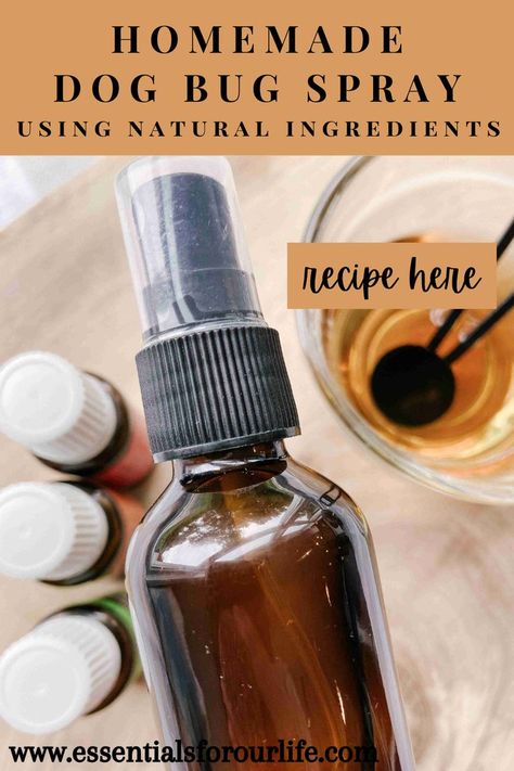 Pet Safe Insect Repellent, Vanilla Bug Spray Recipe, Dog Bug Spray, Natural Mosquito Spray, Homemade Bug Spray Recipe, Homemade Tick Repellent, Essential Oil Bug Repellent, Mosquito Repellent Essential Oils, Insect Repellent Essential Oils