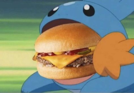 It’s a Pokémon called Mudkip and he’s eating a burger. Pokemon Gif, Gotta Catch Them All, Pokemon Memes, Pokemon Funny, My Pokemon, Cute Memes, Funny Reaction Pictures, Pokemon Pictures, Cute Pokemon