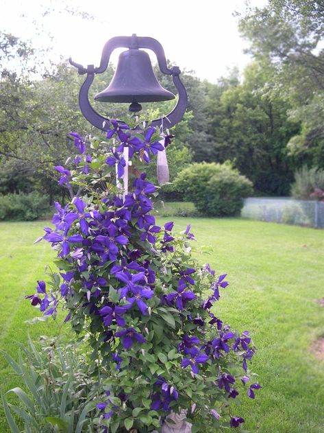 Dinner Bell Post, Garden Vines, Purple Garden, Dinner Bell, Garden Yard Ideas, Garden Structures, Country Gardening, Dream Garden, Clematis