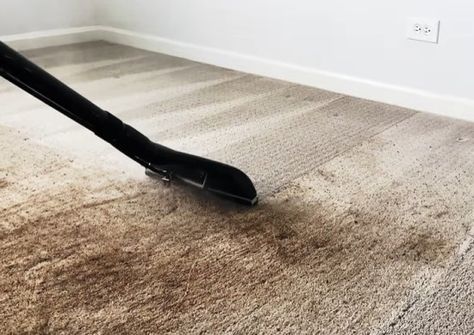 Shampooing Carpets Tips, Steam Cleaning Carpet, Carpet Shampoo Hacks, Best Carpet Cleaner Machine, Steam Cleaning Tips, How To Shampoo Carpet, Shampoo Carpet Cleaner, Carpet Shampoo Machine, Shampoo Carpet