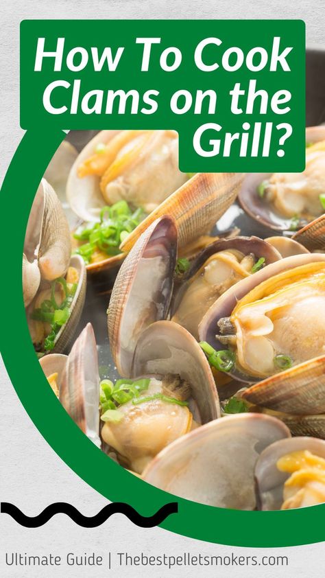 How To Cook Clams on The Grill? How To Cook Steamers, Clams On The Grill, Steamer Clam Recipes, Baked Clams Recipe, How To Cook Clams, Freshwater Clams, Grilled Clams, Bbq Seafood, Seafood Dish Recipes