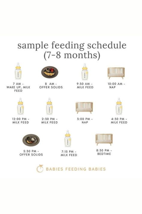 Sample Feeding Schedule 9 Month Old, 4 Month Old Feeding Schedule With Purees, Seven Month Old Feeding Schedule, Sample 8 Month Old Schedule, 7 Months Feeding Schedule, 7month Old Schedule, Eight Month Old Schedule, Sample Feeding Schedule For 6 Month Old, 8 Month Old Food Schedule