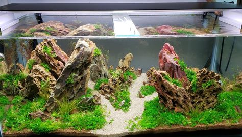 Crystals In Aquarium, Crystal Aquarium, Marine Fish Tanks, Aquarium Shop, Cool Fish Tanks, Tropical Freshwater Fish, Diy Aquarium, Aquatic Ecosystem, Backyard Plants