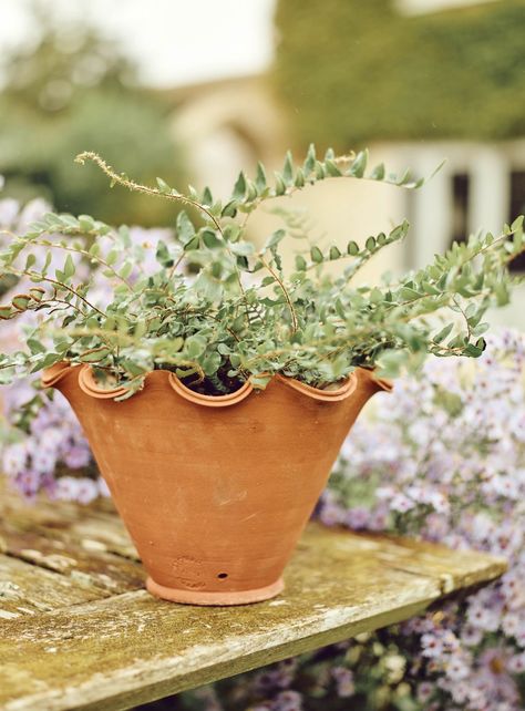 Terracotta Garden Pots, Rustic Terracotta Pots, Terra Cotta Pots Garden, Zinc Planters, Garden Obelisk, Small Patio Garden, Solid Wood Benches, Terracotta Plant Pots, Classic Garden