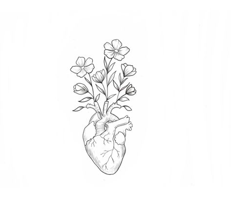 Human Heart Outline Tattoo, Guarded Heart Tattoo, Mended Heart Tattoo, Heart Tattoo Template, Heart Vase Tattoo, Human Heart Outline, Kidney Tattoo, Heart Tattoo Stencil, Heart With Flowers Tattoo