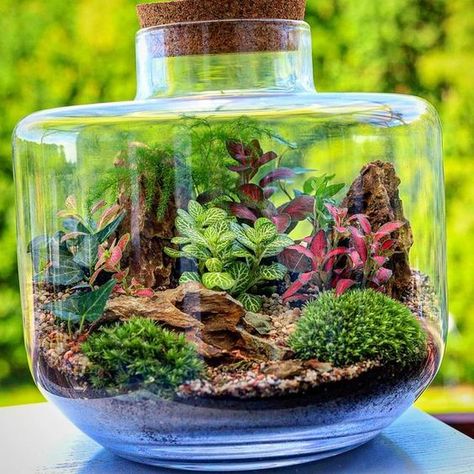 Terrarium Ideas Unique, Succulent Plants Indoor, Glass Jar Diy, Indoor Terrarium, Centerpiece Succulent, Terrarium Scene, Succulent Planting, Unique Terrarium, Build A Terrarium