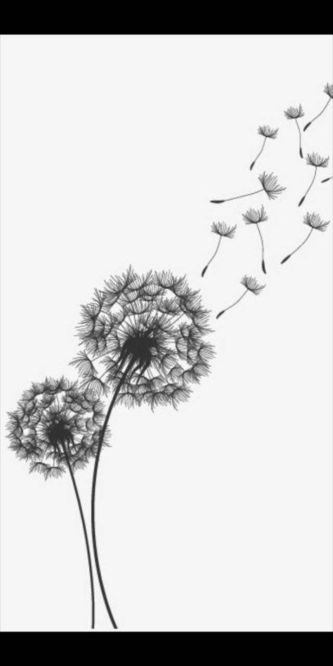 Download Dandelions wallpaper by XNickixX - e4 - Free on ZEDGE™ now. Browse millions of popular dandelions Wallpapers and Ringtones on Zedge and personalize your phone to suit you. Browse our content now and free your phone Dandilines Flower Drawing, Dandelion Art Drawing, Dandelion Aesthetic Drawing, Blowing Dandelion Drawing, Dandelion Wallpaper Iphone, Dandelion Aesthetic Art, Dandelion Sketch, Blowing Dandelion Tattoo, Dandelions Wallpaper