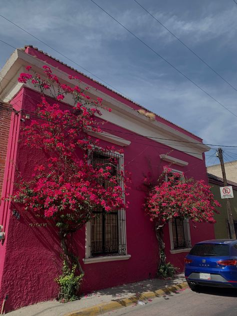 Pink Mexico Aesthetic, Mexico Pink Aesthetic, Magenta Aesthetic, Pink Architecture, House Mexico, Princess School, Monochromatic Aesthetic, Pink Monochrome, Pink Street