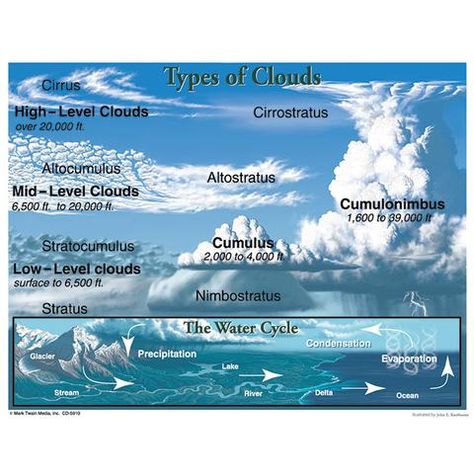 TYPES OF CLOUDS Meteorology Tattoo, Meteorology Aesthetic, Cloud Diagram, Cloud Types, Types Of Clouds, Cloud Type, The Water Cycle, Weather Science, Weather Unit