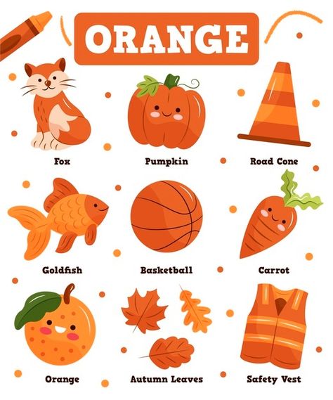 Color orange and vocabulary set in english Orange Flashcard, Orange Color Activity, Orange Kids, Things That Are Orange Preschool, The Color Orange, Orange Colour Activity For Preschool, Orange Color Activities Preschool, Orange Objects, Color Orange