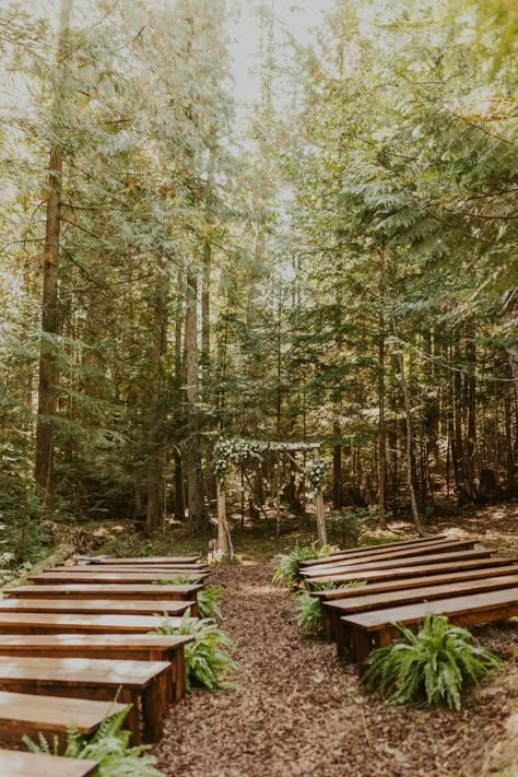 Forest Arbor Wedding, Creek Side Wedding Ceremony, Moss Wedding Ceremony, In The Woods Wedding Ideas, Overlook Wedding Ceremony, Forest Wedding Arbor, Diy Wedding In The Woods, Wedding In Trees, Outdoor Wedding In Woods