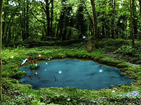 Pond Aesthetic Wallpaper, Aesthetic Pond, Pond Aesthetic, Pond Wallpaper, The Magic Faraway Tree, Wildlife Wallpaper, Faraway Tree, Pond Painting, Horse Wallpaper