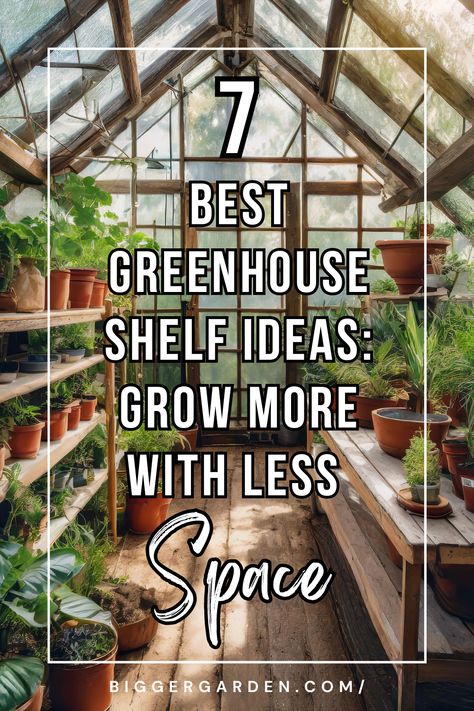 Greenhouse For Indoor Plants, Greenhouse Designs Ideas, Greenhouse Shelves Ideas, Setting Up Greenhouse, Diy Inside Greenhouse Ideas, Organizing A Greenhouse, Greenhouse Shelf Ideas, Greenhouse Organizing Ideas, Inside Of Greenhouse Ideas