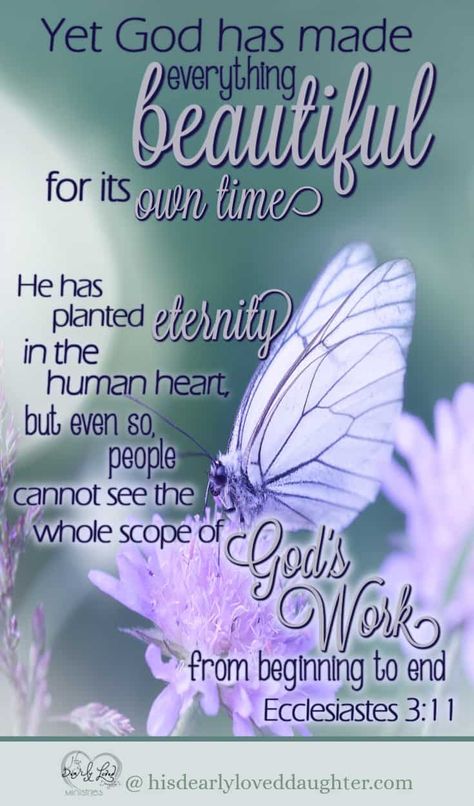 Broken Vows, Ecclesiastes 3 11, The Human Heart, My Identity, Beautiful Scripture, Bible Quotes Images, Scripture Pictures, Encouraging Bible Verses, Human Heart