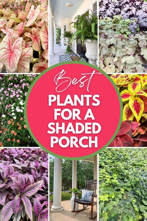 Front Porch Planter Ideas, Planters For Shade, Porch Planter Ideas, Shade Loving Plants, Front Porch Flower Pots, Southern Porch, Country Homestead, Patio Flower Pots, Garden Wall Decoration