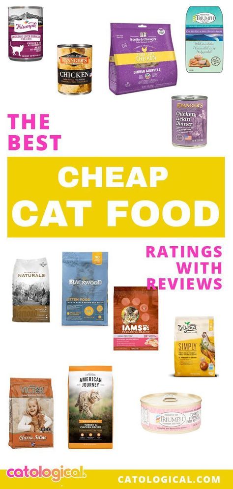 Senior Cat Food, Cat Vitamins, Savings Ideas, Cat Food Brands, Best Cat Food, Kitten Food, Older Cats, Kitten Care, Senior Cat