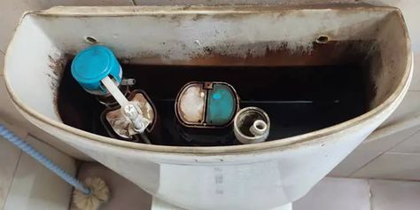 How To Clean Toilet Tank Perfectly Clean Toilet Tank, Cleaning Toilet Tank, Black Slime, Clean Toilet, Toilet Stool, How To Clean Rust, Black Toilet, Toilet Cistern, Toilet Tank