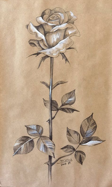 For the Valentines Day Valentines Day Sketches Pencil, Drawings On Toned Paper, Sketches On Brown Paper, Drawings On Brown Paper, Brown Paper Sketch, Art On Brown Paper, Valentines Day Sketches, Brown Paper Drawing, Brown Paper Art