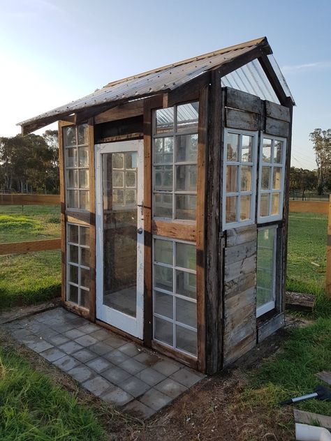 Greenhouse made from old windows and timber pallets 16 windows, 40 deconstructed timber pallets, 4x 2.4m laserlite roofing sheets, some old hardwood fence rails, and lots of screws! Pallet And Window Greenhouse, Small Old Window Greenhouse, Greenhouse Reclaimed Windows, Green House Made From Old Windows, Greenhouse Windows Diy, Greenhouses Made From Old Windows, Greenhouse Out Of Pallets, Old Window Projects For Outdoors, Vintage Window Greenhouse