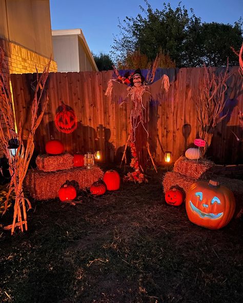 Spooky scarecrow in yard pumpkin patch Scary Pumpkin Patch Decorating Ideas, Spooky Pumpkin Patch, Pumpkin Walkway, Pumpkin Patch Halloween Decorations, Halloween Pumpkin Patch Yard, Haunted Pumpkin Patch Ideas, Halloween Lawn Decor, Pumpkin Patch Yard Decor, Halloween Pumpkin Patch