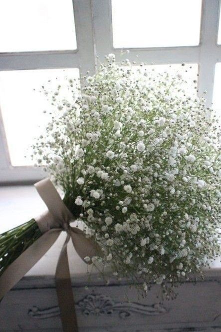 Elegant Wedding Bouquets, Simple Wedding Bouquets, Boquette Flowers, Hand Bouquet, Flowers Bouquet Gift, Beautiful Bouquet Of Flowers, Baby's Breath, Gardening Supplies, Bride Bouquets