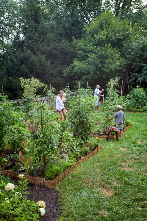 Lauren Liess Our New Kitchen Garden Plans Lauren Liess, Potager Garden, Garden Plans, Veg Garden, Have Inspiration, Vegetable Garden Design, Veggie Garden, Garden Cottage, Farm Gardens