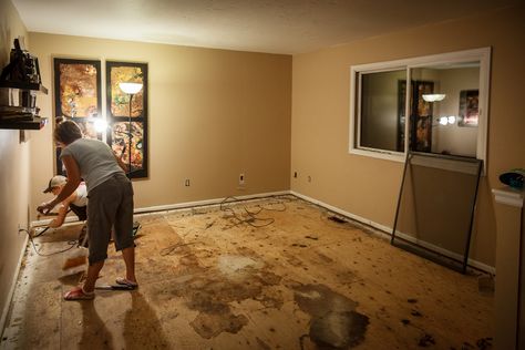 DIY Painted Subfloors — Janie Edwards Particle Board Floor, Paint Particle Board, Painted Plywood Floors, Martha Stewart Paint, Plywood Subfloor, Diy Home Projects, House Smell Good, Wet Felting Projects, Plywood Flooring