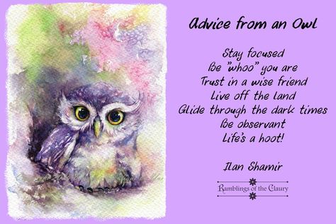 Advice from an owl:  Stay focused, Be hoo you are, Trust in a wise friend, Live off the land, Glide through the dark times, Be observant, Life's a hoot! #advice #owl #wisdom #focus #BeYourself #hoot #life Advice From An Owl, Owl Quotes, Optimism Quotes, Buddha Wisdom, Cat Advice, Wednesday Quotes, Love Your Enemies, Living Off The Land, Words Of Wisdom Quotes