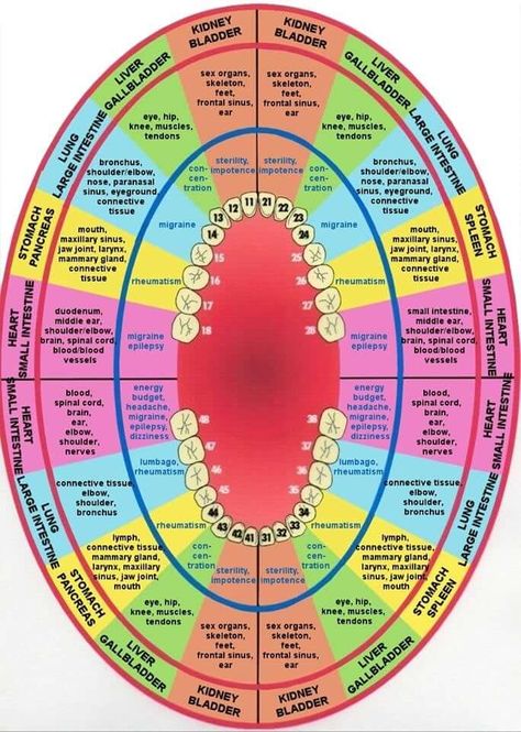 Holistic Dentistry, Tooth Chart, Hand Reflexology, Teeth Health, Health Heal, Energy Medicine, Alternative Healing, Alternative Health, Reflexology