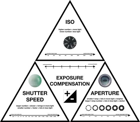 A Complete Beginner’s Guide to Understanding Aperture, Shutter Speed, and ISO – Kolari Vision Aperture Cheat Sheet, Camera Cheat Sheet, Camera Basics, Aperture And Shutter Speed, Fast Shutter Speed, Lens Aperture, Slow Shutter Speed, Exposure Compensation, Slow Shutter