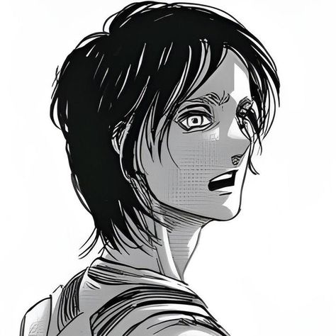 . on TikTok Eren Pointing At The Ocean Manga, Eren Manga Panels, Eren Pfp Manga, Eren Jaeger Manga Icon, Eren Manga Pfp, Mapeh Subject Design, Eren Manga Icon, Eren Yeager Manga, Eren Jaeger Manga