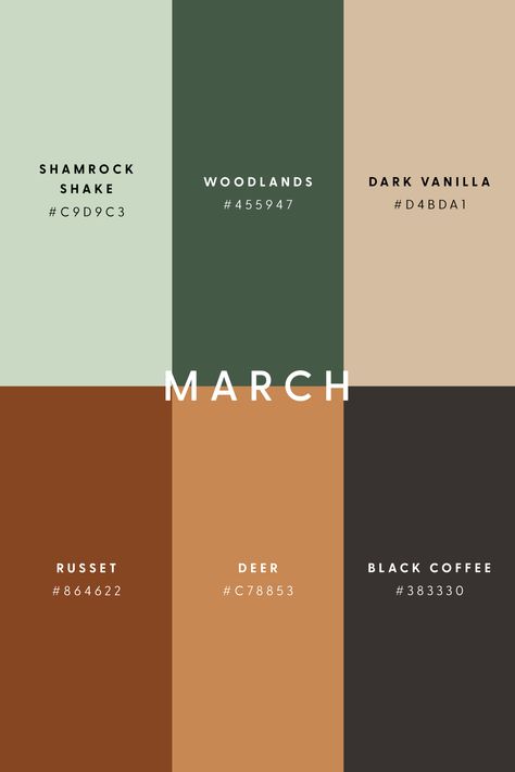 Cozy Colors Palette, Design Ložnic, Flat Color Palette, Color Design Inspiration, Hex Color Palette, Color Schemes Colour Palettes, Warm Colour Palette, Brand Color Palette, Color Palate