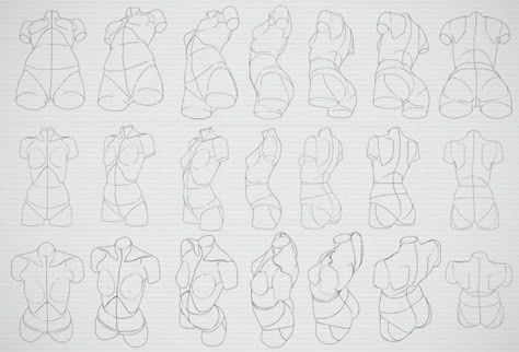 Body Study, Anatomy Tutorial, Female Torso, Human Figure Drawing, Anatomy Sketches, Body Reference Drawing, Body Anatomy, Female Anatomy, Anatomy Drawing