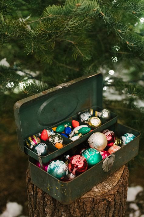 Shiny Brite Christmas ornaments - photo by Alicia King Photography http://ruffledblog.com/christmas-tree-farm-wedding-inspiration-with-tradition Christmas Tree Farm Wedding, Farm Wedding Ideas, Tree Farm Wedding, Shiny Brite Christmas, King Photography, Christmas Farm, Farm Birthday Party, Tree Shop, Farm Party