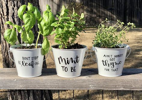 20 Amazingly Creative Herb Planters - Lydi Out Loud Unicorn Diy, Tin Planters, Calligraphy Ideas, Plant Puns, Plant Pot Design, Plant Pot Diy, Easy Plants To Grow, Painted Pots Diy, Painted Plant Pots