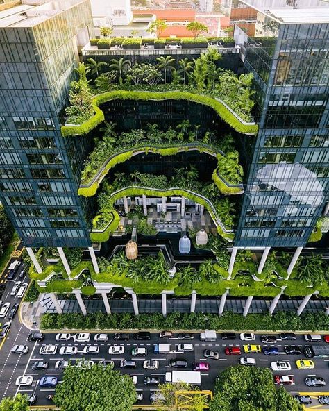 Edificio vo terrazas verdes y jardinales verticales en Singapur : la ciudad más verde y limpia en Asia 🌱 🔝💯 . . . #edificioverde #ciudadverde #singapur #singapore #greensingapore #greenliving #greencity #singaporearchitecture #arquitectur Green Building Architecture, Eco Buildings, Eco City, Plans Architecture, Glass Building, Eco Architecture, Tall Buildings, Living Modern, Green Architecture