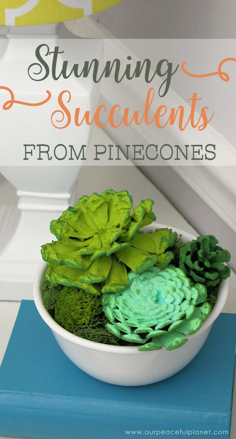 The Ultimate Pinecone Craft: Stunning Succulent Home Decor Pinecone Succulents Diy, Pinecone Succulents, Stained Glass Kits, Pinecone Crafts, Religious Ornaments, Pine Cone Art, Pine Cone Decorations, Cones Crafts, Pine Cone Crafts