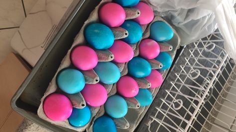 Gender Reveal Egg Smash, Baby Gender, Hard Boiled, Hard Boiled Eggs, Baby Ideas, Boiled Eggs, A Boy, Gender Reveal, Baby Stuff