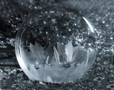 Photos of Frozen Soap Bubbles by Cheryl Johnson Blowing Bubbles Photography, Ice Bubble, Frozen Bubbles, Bubbles Photography, Snow Images, Freezing Weather, Snow Crystal, Freezing Cold, Ice Crystals