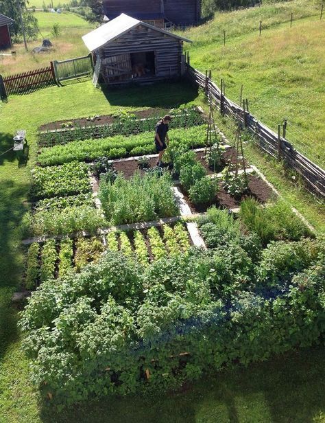 Farm Garden Layout, Plantarea Legumelor, Garden Layout Vegetable, Homestead Farm, Backyard Vegetable Gardens, Small Backyard Gardens, Farm Garden, Garden Planner, Garden Design Plans