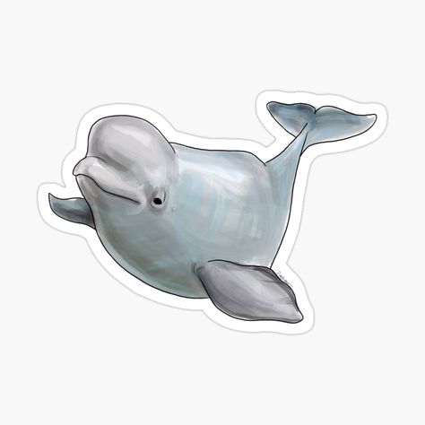 Get my art printed on awesome products. Support me at Redbubble #RBandME: https://www.redbubble.com/i/sticker/Beluga-Whale-Sticker-Art-Drawing-Illustration-by-ryanbiddle/45326606.JCQM3?asc=u Beluga Illustration, Beluga Drawing, Beluga Whale Drawing, Whale Sticker, Whale Drawing, White Whale, Beluga Whale, 타이포그래피 포스터 디자인, Computer Sticker