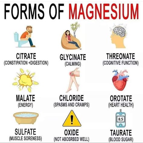 Magnesium Types, Forms Of Magnesium, Types Of Magnesium, Best Magnesium, Vitamin A Foods, Nerve Health, Magnesium Citrate, Brain Facts, Health Heal