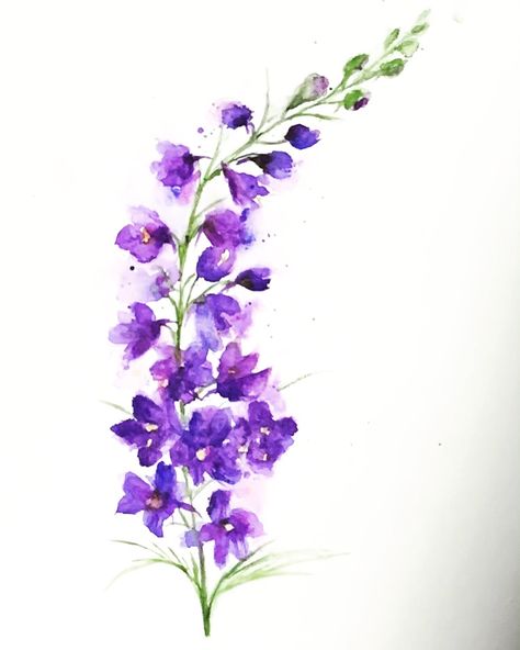 Larkspur Tattoo Watercolor, Colourful Floral Tattoo, Coloured Flowers Tattoo, Larkspur Flower Painting, Larkspur Flower Tattoo Color, Water Colour Flower Tattoos, Larkspur Tattoo Color, Larkspur Flower Watercolor, Larkspur Flower Tattoo Design