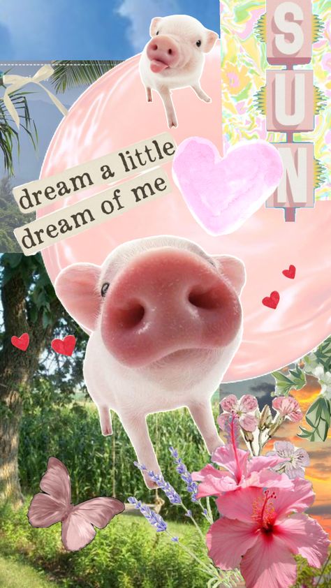 Pig Aesthetic Wallpaper, Pig Aesthetic, Fat Animals, Pig Wallpaper, Create Collage, Cool Wallpaper, Creative Play, Aesthetic Wallpaper, Your Aesthetic