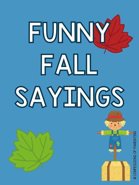 Fall is here, and it is time to celebrate the falling leaves, pumpkin everything, and bobbing for apples. Check out these funny fall sayings to celebrate fall as you spark some laughter with your friends and family. Falling Quotes Funny, Fall Humor Quotes, Fall Sign Sayings, Raking Leaves Humor, Summer To Fall Quotes Funny, Funny Fall Quotes Autumn Hilarious, Fall Word Board Sayings Funny, Fall Sayings For School, Fall Season Funnies